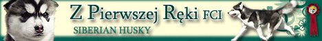 Z Pierwszej Rki FCI